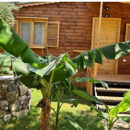 Derin Tas-Bungalow Datca Bagian luar foto